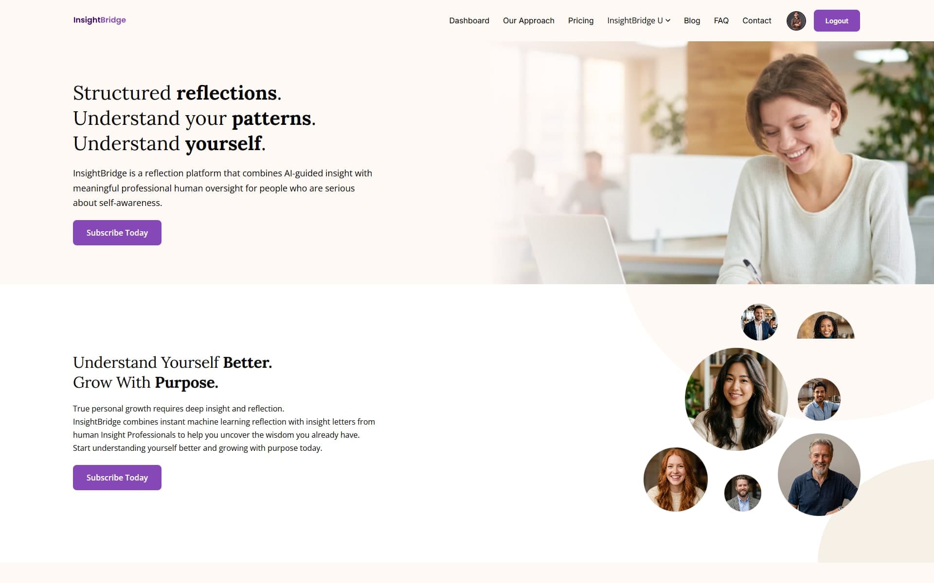 InsightBridge, a real screenshot of the product